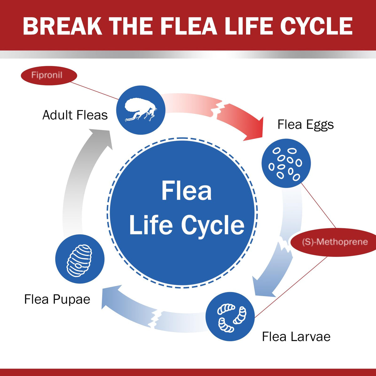 Flea and Tick Prevention for Large Dogs 45 to 88 lbs T469