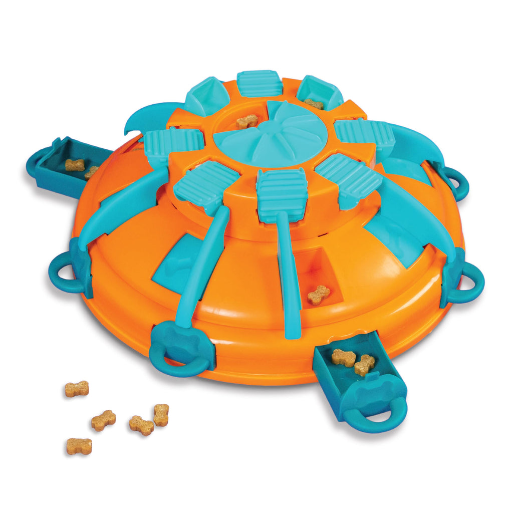 Dog Toy Treat Puzzle C671