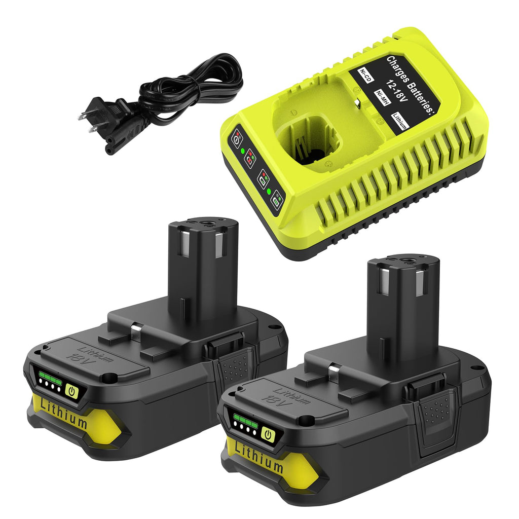 2Pack 4.0Ah Lithium Battery and Charger Combo B9391