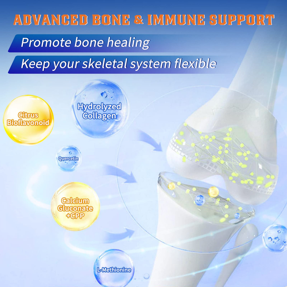Probiotics with Glucosamine Chondroitin MSM Joint Support Supplement J7379