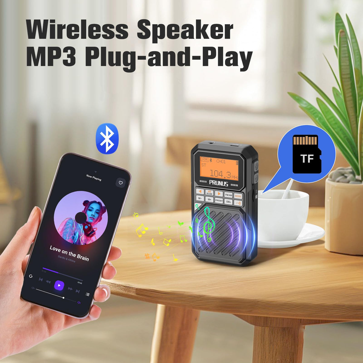 Portable AM FM Radio with Bluetooth V3077