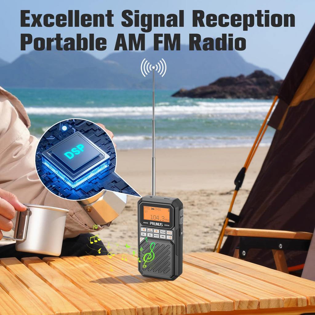 Portable AM FM Radio with Bluetooth V3077