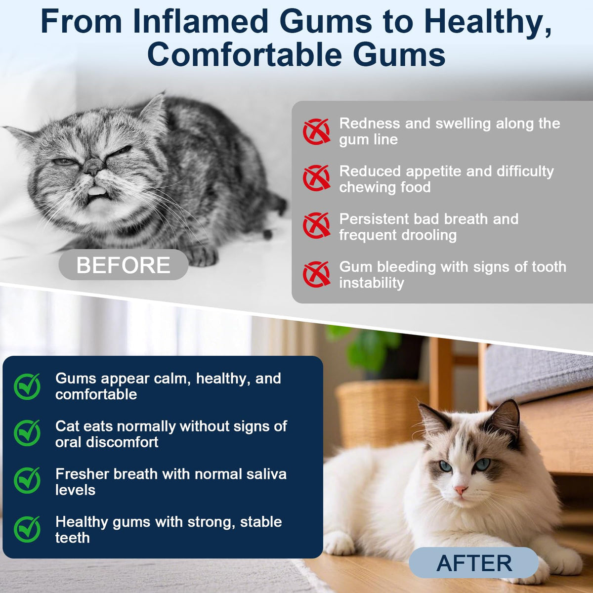 Cat Oral Care R528513