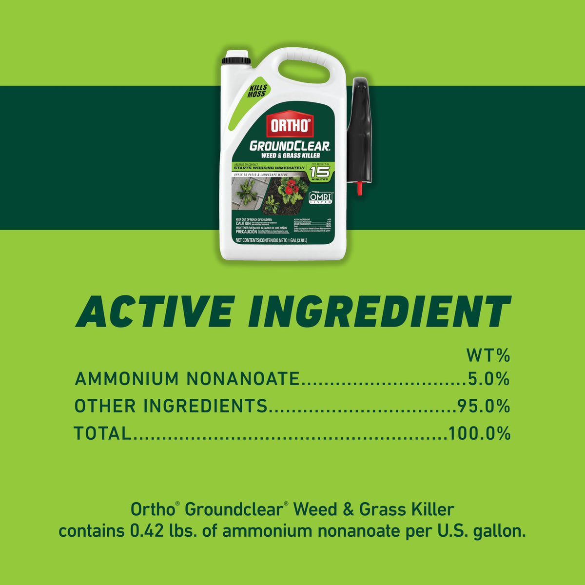 Weed & Grass Killer with Comfort Wand, 1 gal. B166