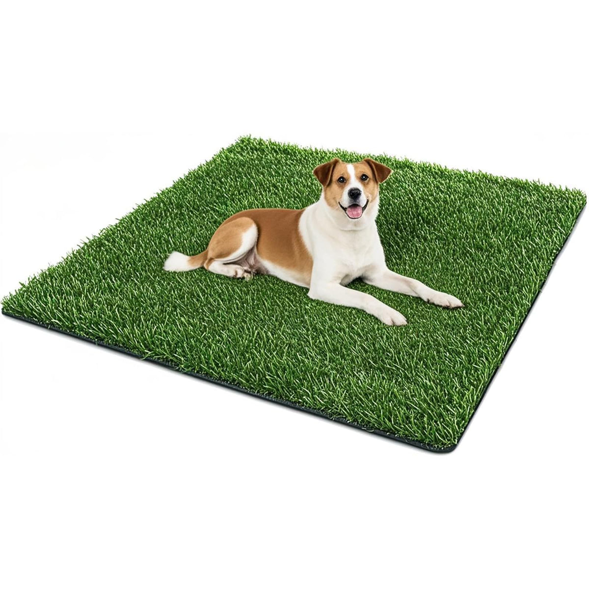 50.1x30.5In Artificial Grass Dog Pee Pad P5387