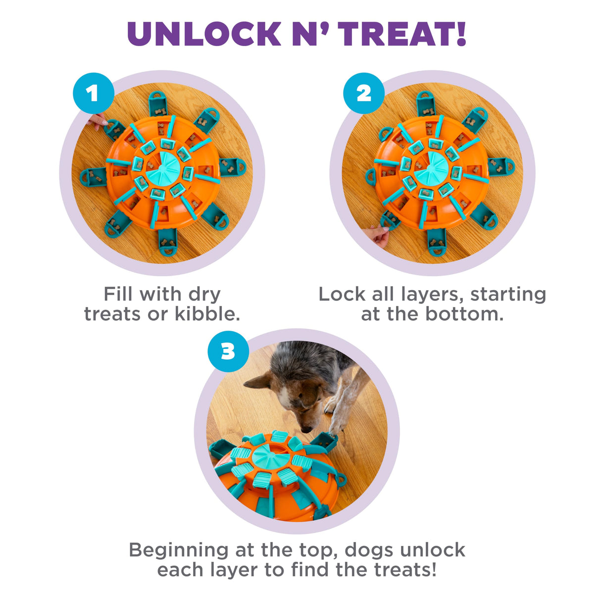 Dog Toy Treat Puzzle C671