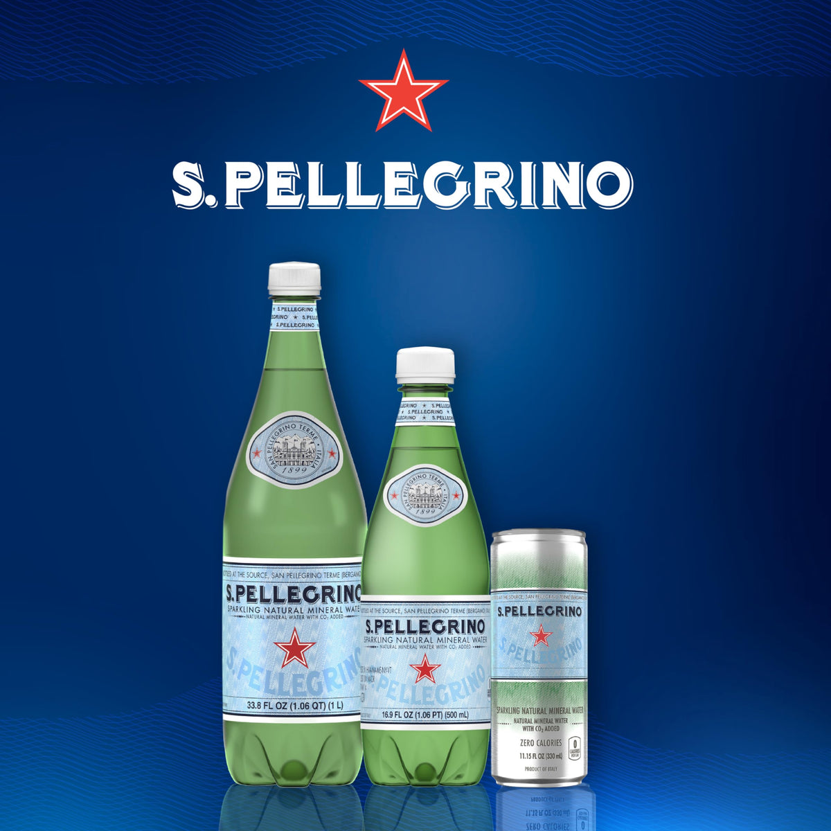 Sparkling Natural Mineral Water 33.8 fl oz Pack of 12 V573260