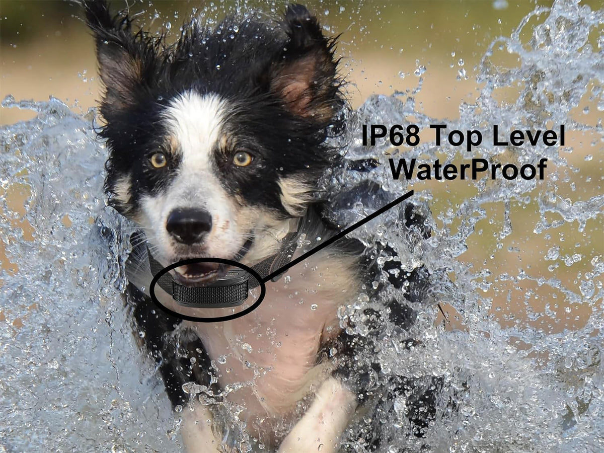 In-Ground Electric Pet Fence with 2 Waterproof Rechargeable Collars P445918
