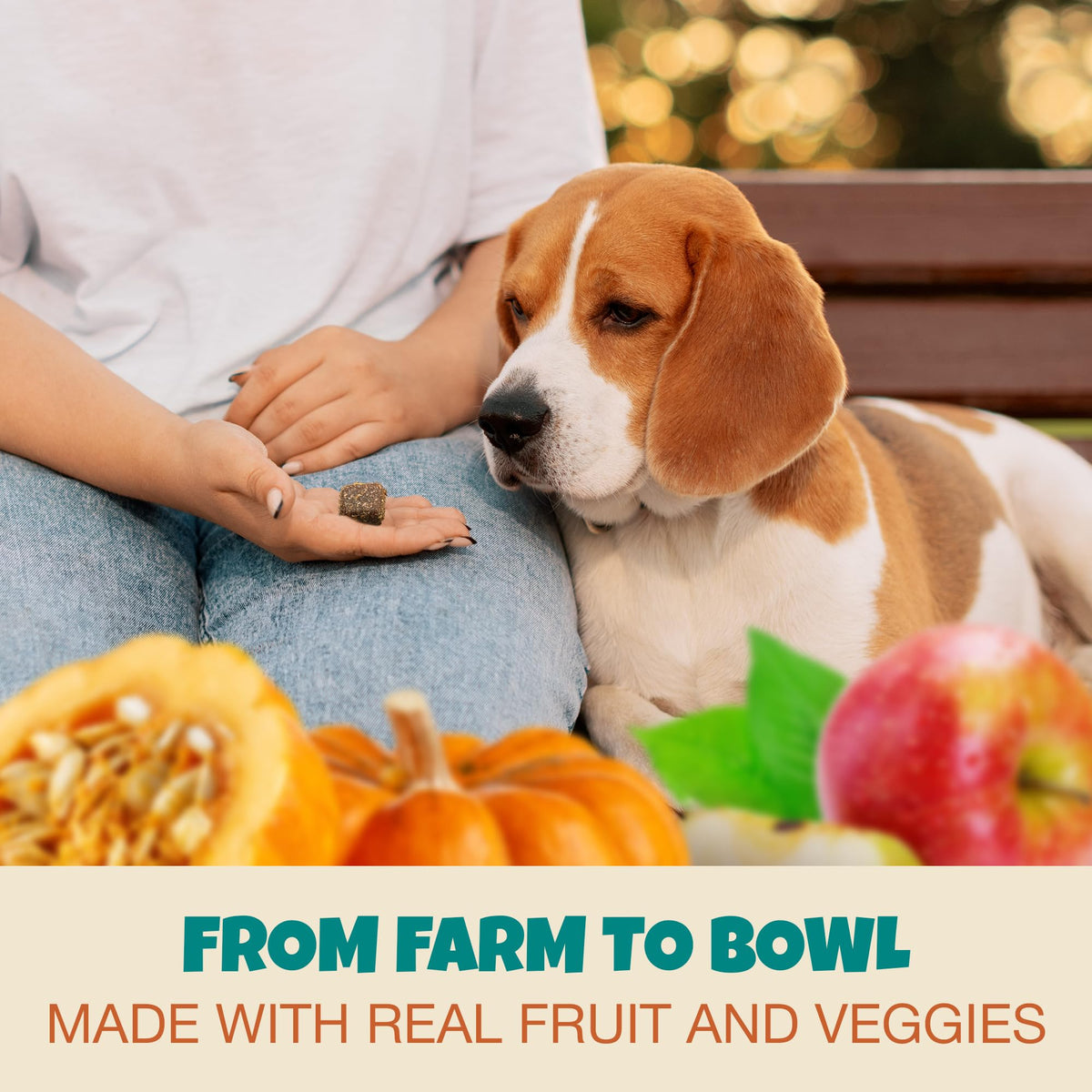 Pill Wraps for Dogs with Pumpkin and Probiotics J502515
