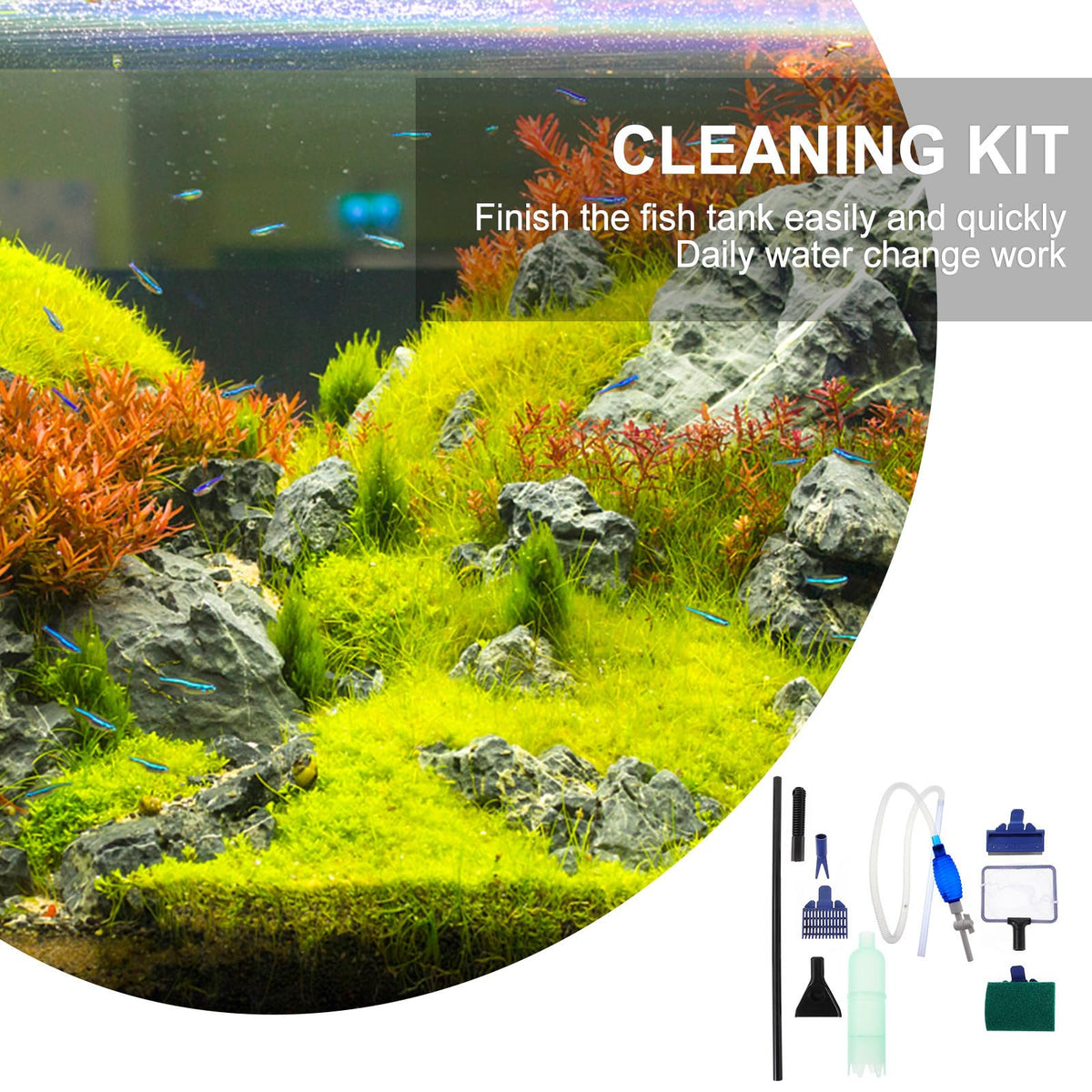 5 in 1 Plastic Cleaning Brush Set I12190