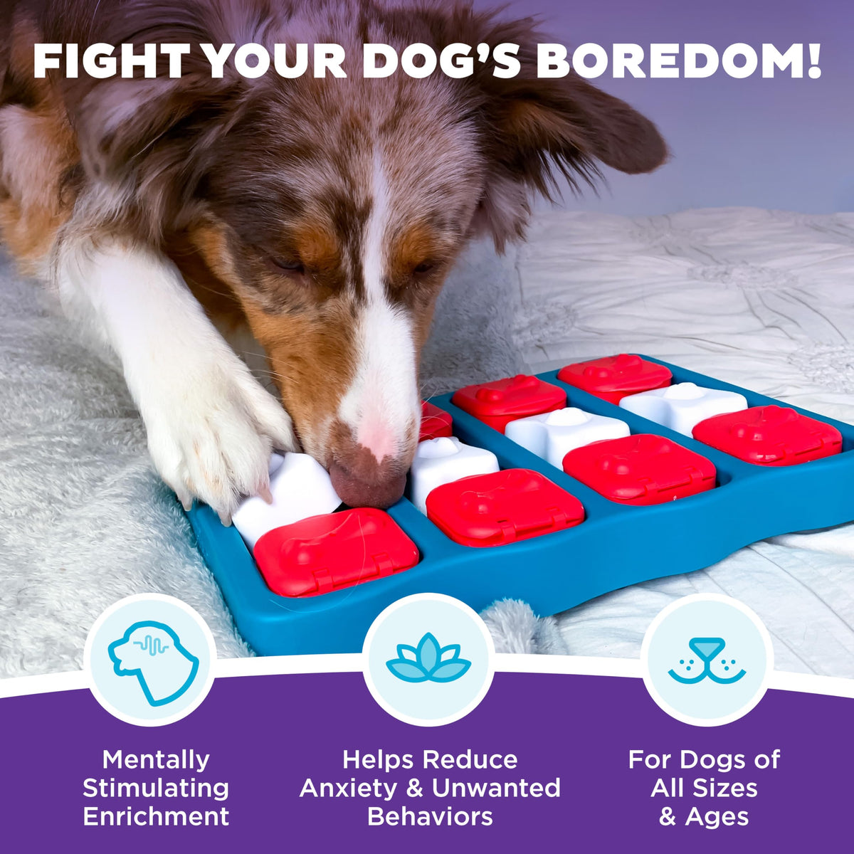 Dog Brick Dog Toy Treat Puzzle M6327