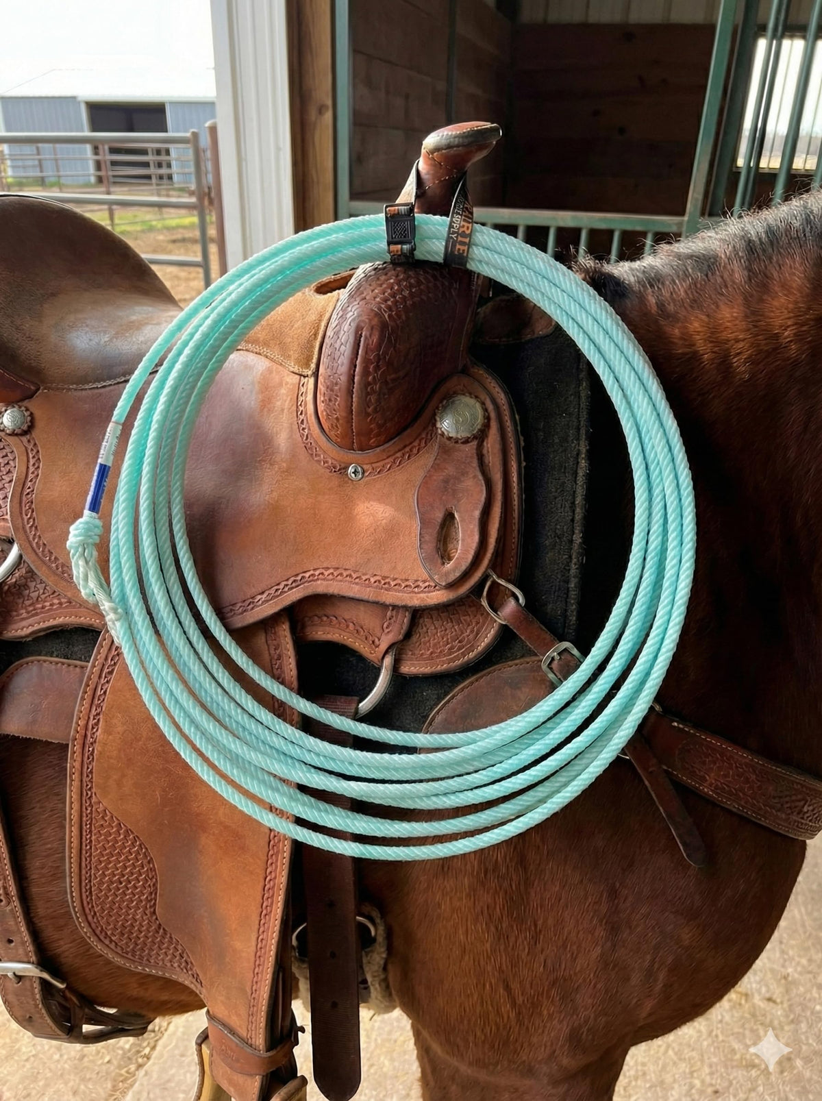 Elastic Nylon Rope Holder Strap for Saddle W35935