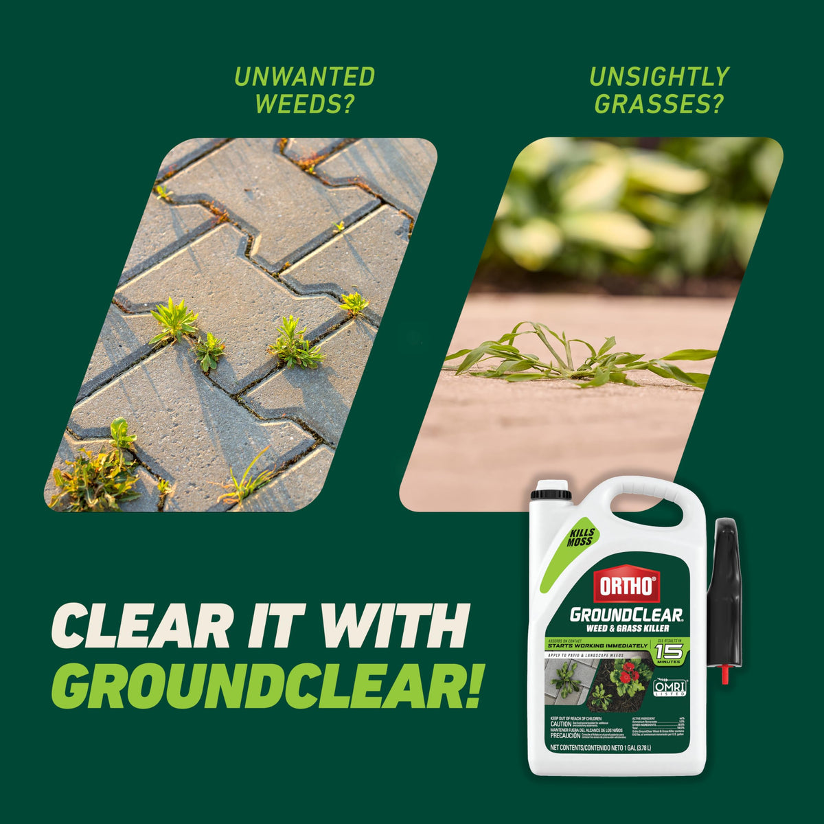 Weed & Grass Killer with Comfort Wand, 1 gal. B166