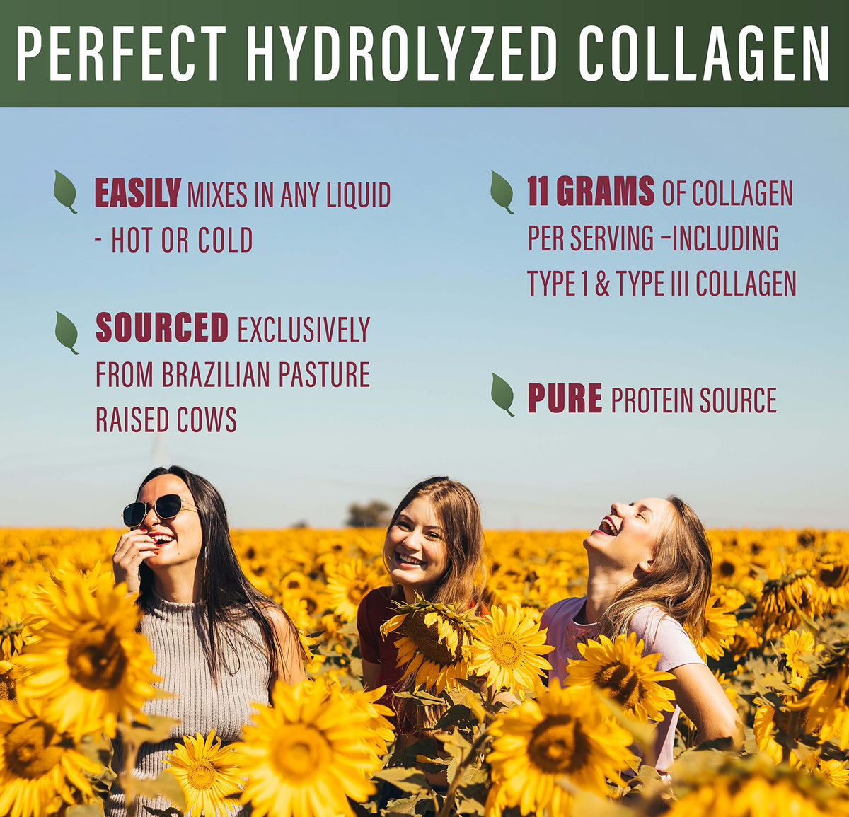 Hydrolyzed Collagen Powder 660 Grams V1866