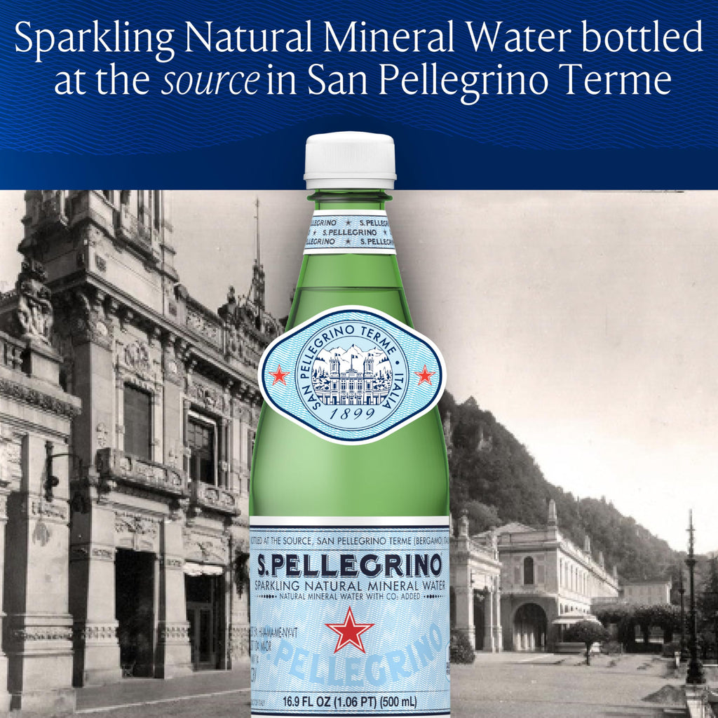 Sparkling Natural Mineral Water 33.8 fl oz Pack of 12 V573260