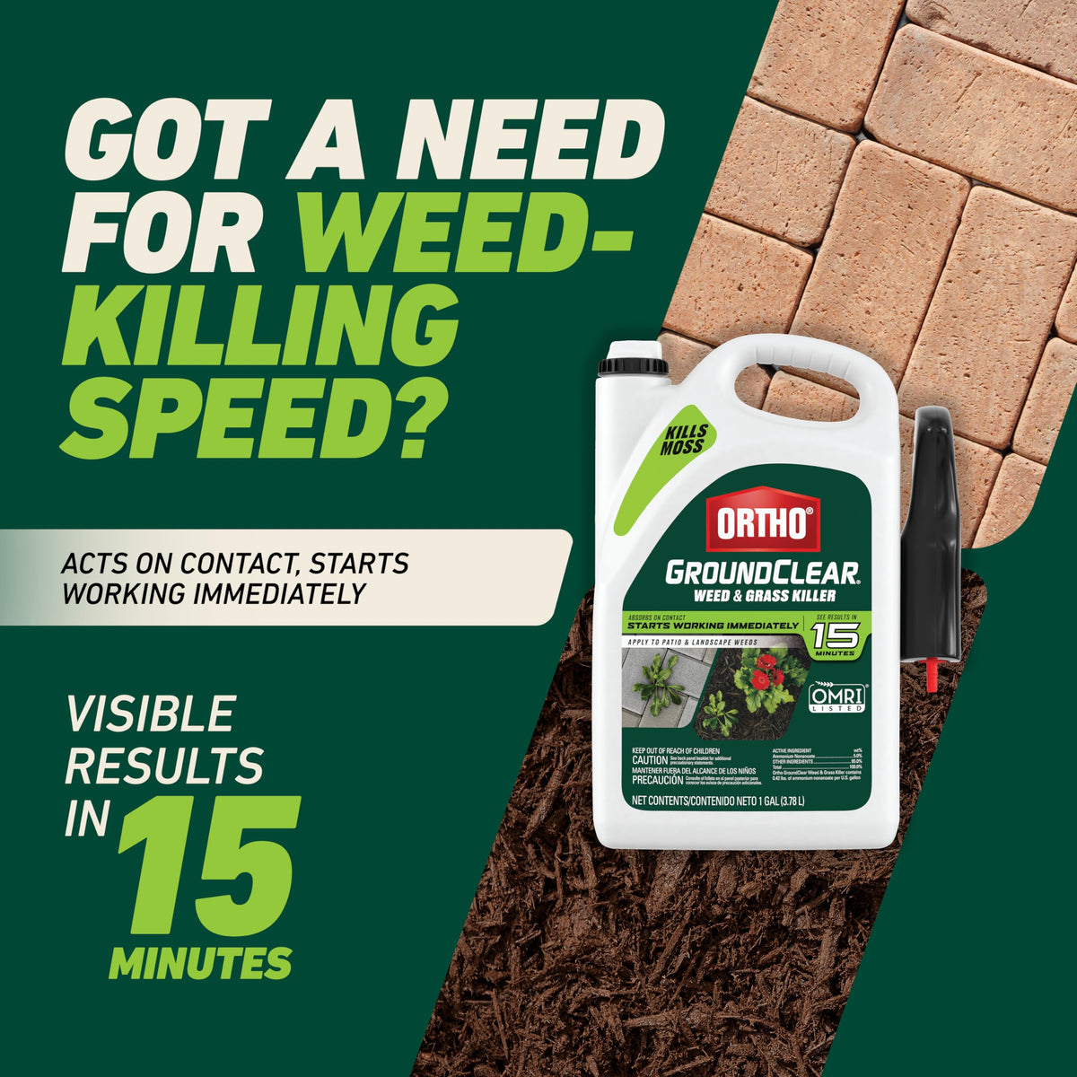 Weed & Grass Killer with Comfort Wand, 1 gal. B166