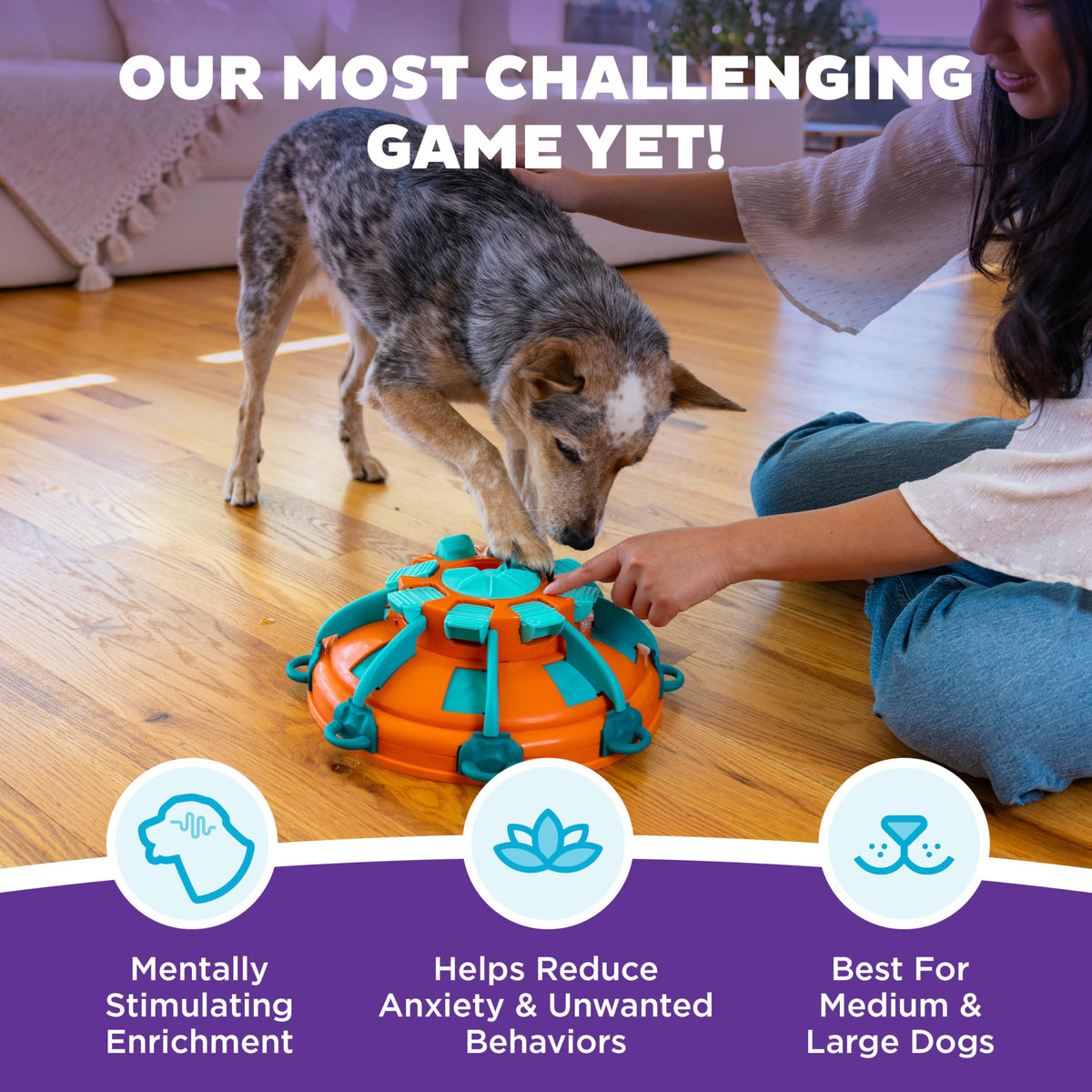Dog Toy Treat Puzzle C671